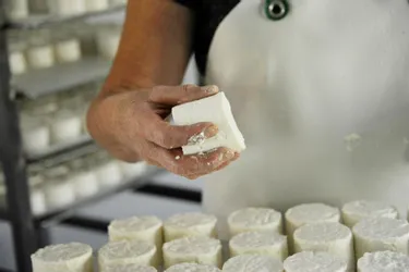 Rappel de fromages contaminés à la listeria en Auvergne et dans la Loire