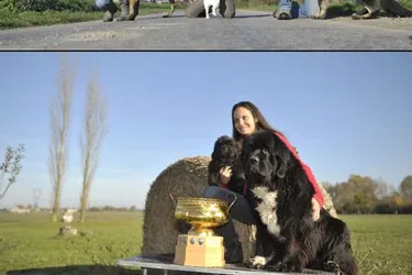 La commune est l’emplacement choisi par Sophie Delacroix et Patrick Colas pour l’élevage de chiens