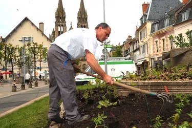 Les seize agents du service Espaces verts s’occupent du fleurissement de la ville