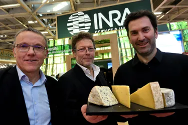 Auvergne et Savoie créent le seul Groupement d’intérêt scientifique dédié aux fromages AOP