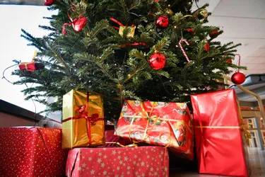Dix conseils pour un Noël plus écolo sans gâcher la fête dans le Puy-de-Dôme