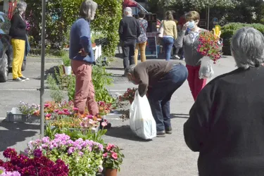 Les jardiniers au rendez-vous du marché horticole de Saint-Plaisir