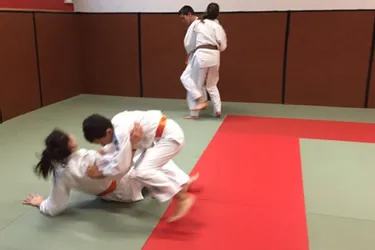 Le Judo-Club prêt pour la reprise