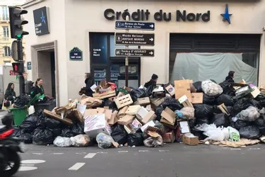 "Poubelle la vie" : exaspérés, les Parisiens publient des images de leur ville sous les ordures