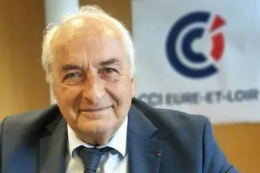 Pour Pierre Goguet, président de CCI : "La France connaît une forte reprise"