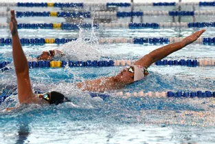 Les nageurs vont reprendre leurs activités le 1er septembre