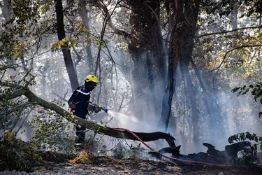 Explosion des feux de végétation en Corrèze : les pompiers appellent à la prudence