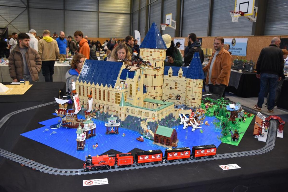 Foire aux châts, festival japonais, Olivet Bricks… Cinq idées sorties pour le week-end des 25 et 26 octobre dans le Loiret