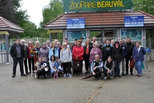 À la découverte du zooparc de Beauval