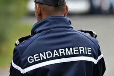 Suspecté de détention d'images pédopornographiques dans l'Allier