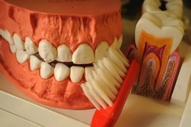 Creuse : un diagnostic dentaire sans aller chez le dentiste