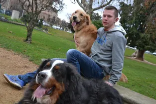 Arthur Lalande, sourd depuis ses un an, a intégré un brevet professionnel d’éducateur canin