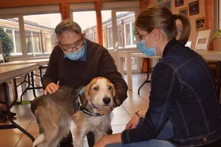 La chienne Kaki au service des personnes handicapées à Cébazat (Puy-de-Dôme)