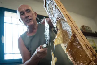 À Montluçon, l'extraction du miel à la loupe