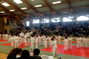 Plus de 150 jeunes judokas sur les tatamis