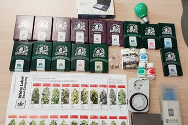 Un demi-kilo d'herbe de cannabis saisi chez un trentenaire à Chamalières (Puy-de-Dôme)