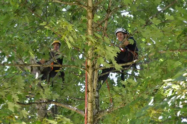 Le CFA arboriculture sécurise le camping