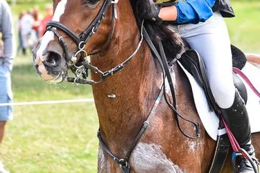 La cavalière Saint-Voirienne Louise Petitjean en bronze aux championnats d'Europe