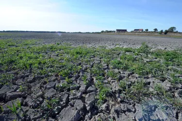 L'Agglomération du Grand Guéret alerte : la tendance de sécheresse est "la même qu'en 2019"