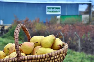 Pourquoi le site Blédina pourrait devenir l'épicentre de l'agriculture urbaine à Brive (Corrèze)