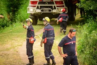 Sapeurs-pompiers de l'Allier : un important entraînement organisé à Montluçon pour se préparer aux feux d’espaces naturels