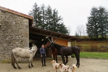 « Entre ciel et terre », une pension de retraite pour chevaux à Vollore-Montagne (Puy-de-Dôme)