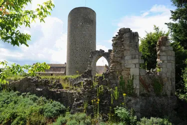 Limousin : le château de Châlus-Chabrol, où est mort Richard Cœur de Lion, est à vendre