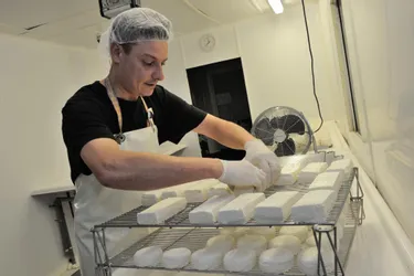 Syvlain Desgeorges jongle entre fabrication de fromages, poules pondeuses et volailles fermières