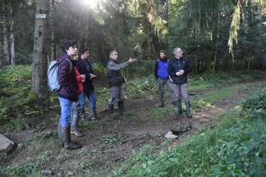 Une visite dans les bois du Cantal pour les élèves de l’école d’architecture de Clermont Ferrand