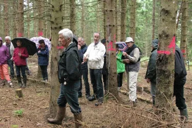 Le bois énergie scruté par le Syndicat des forestiers privés