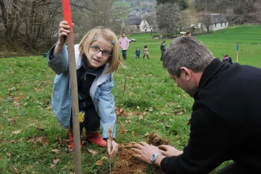 Les élèves de l’école primaire ont planté 31 arbres dans un terrain communal