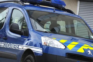 L'auteur présumé d'un vol de veaux interpellé par les gendarmes en haute Corrèze