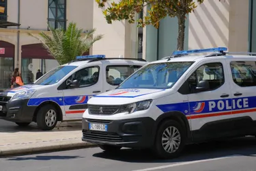 Ses deux jeunes enfants ont subi de véritables « sévices »: le père condamné à sept ans de prison ferme à Cusset (Allier)