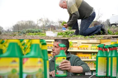 Les solutions alternatives aux pesticides creusent leur sillon chez les jardiniers
