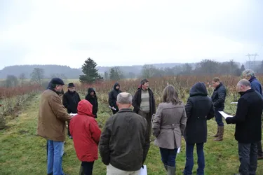 Les producteurs de myrtilles visitent le verger de Sénoueix