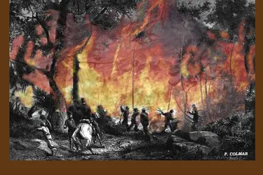 Le feu et le vent, ennemis de la forêt au cœur d’une exposition des Archives départementales