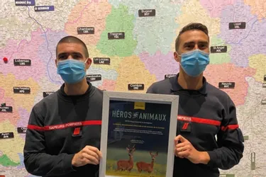 L'association PETA décerne le "prix des héros pour les animaux" aux pompiers de Bort-les-Orgues