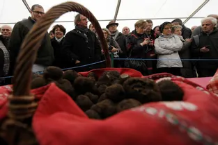 La 10e foire aux truffes attend les amateurs, samedi