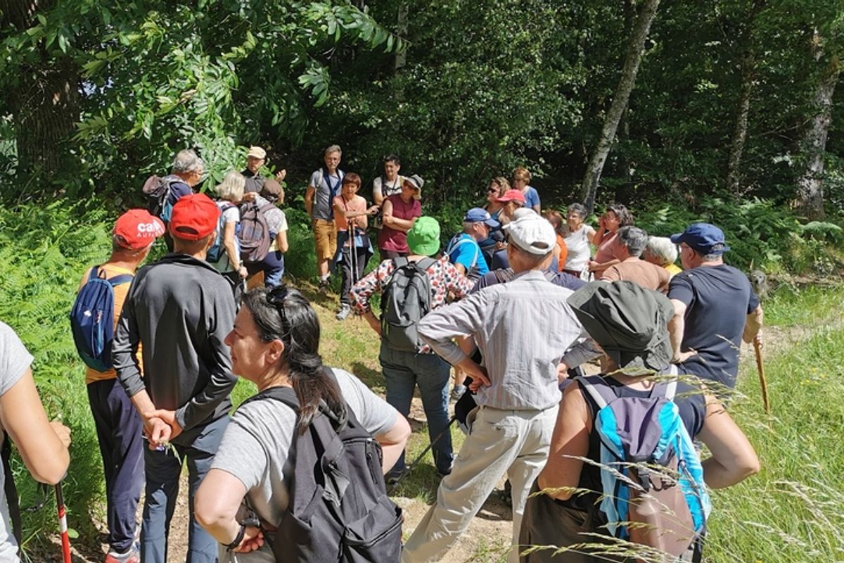 Un nouveau sentier de randonnée - La Montagne