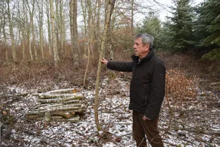 L'activité de la filière bois en Corrèze jugée "essentielle" malgré le confinement
