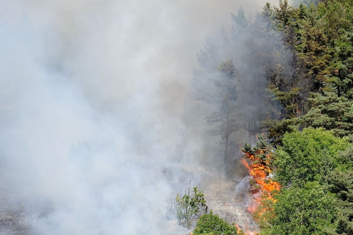 Feux de forêt : le sud de la France en alerte maximale - La Montagne
