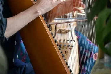 Concerts de harpe à la Grange de Pouzol