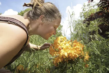 Treize jardins de particuliers ouvrent leurs portes pour « Bienvenue dans mon jardin au naturel »