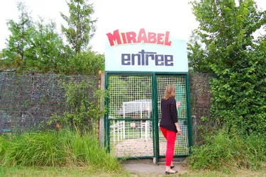 Pétition et groupe Facebook pour soutenir la réouverture du parc de Mirabel