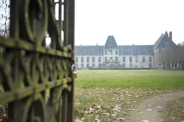 Déjà plus de 10.000 personnes ont signé la pétition pour sauver le château de Lévis (Allier)