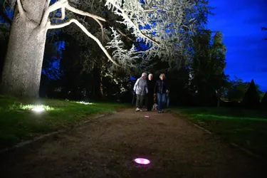 Quatre choses à savoir sur le cheminement lumineux mis en place dans le parc Saint-Jean à Montluçon (Allier)