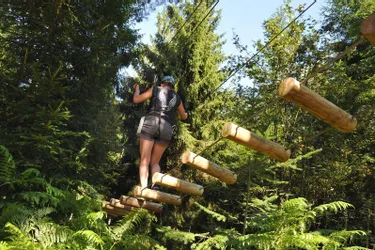 Découvrez l’accrobranche au cœur de la forêt des Collettes avec le Parc Aventure Natura’Bosse