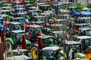Des centaines d'agriculteurs (et de tracteurs) manifesteront à Bordeaux "contre le manque d'ambition de la Région"