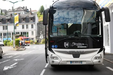 Un piéton renversé par un bus à Tulle ce vendredi matin (Corrèze)