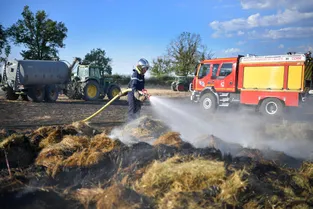 Quinze hectares de végétation partent en fumée à Cressanges (Allier), un hangar agricole détruit